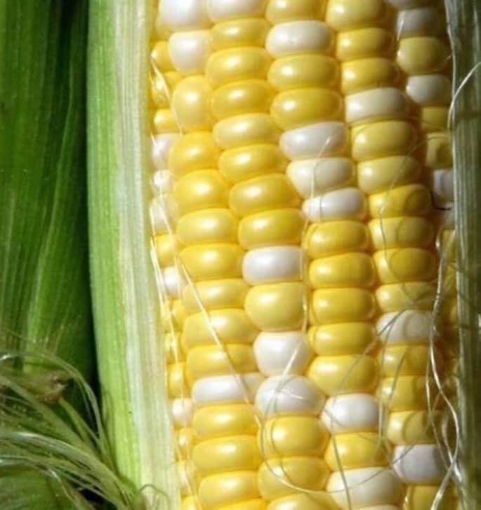 12 Foods to Put on Your Iowa Foodie Bucket List This Summer