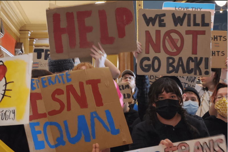 Iowans protest a trans erasure bill at the Iowa Capitol Feb. 12, 2024. (Iowa Starting Line)