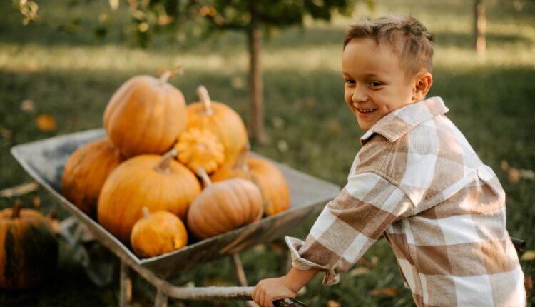 Explore the 10 best pumpkin patches in Iowa