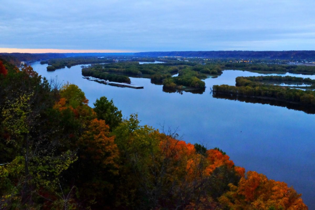 River lined with trees.