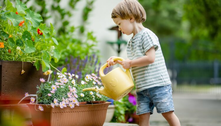 It’s container garden season, Iowans! Here’s what to know