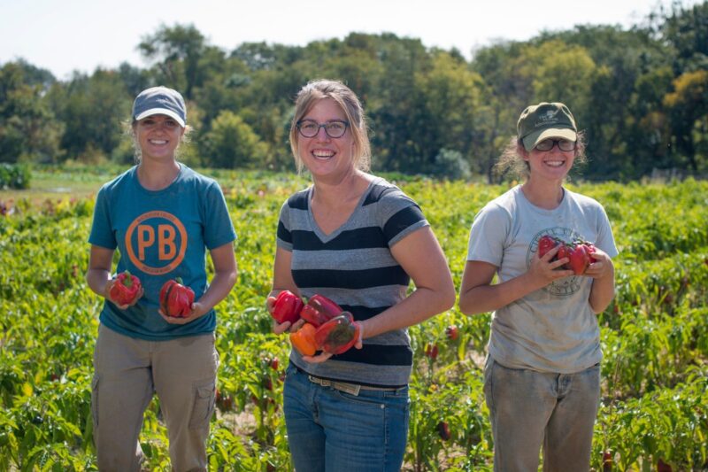 Iowa farmers bridge generational gap through mentorship program