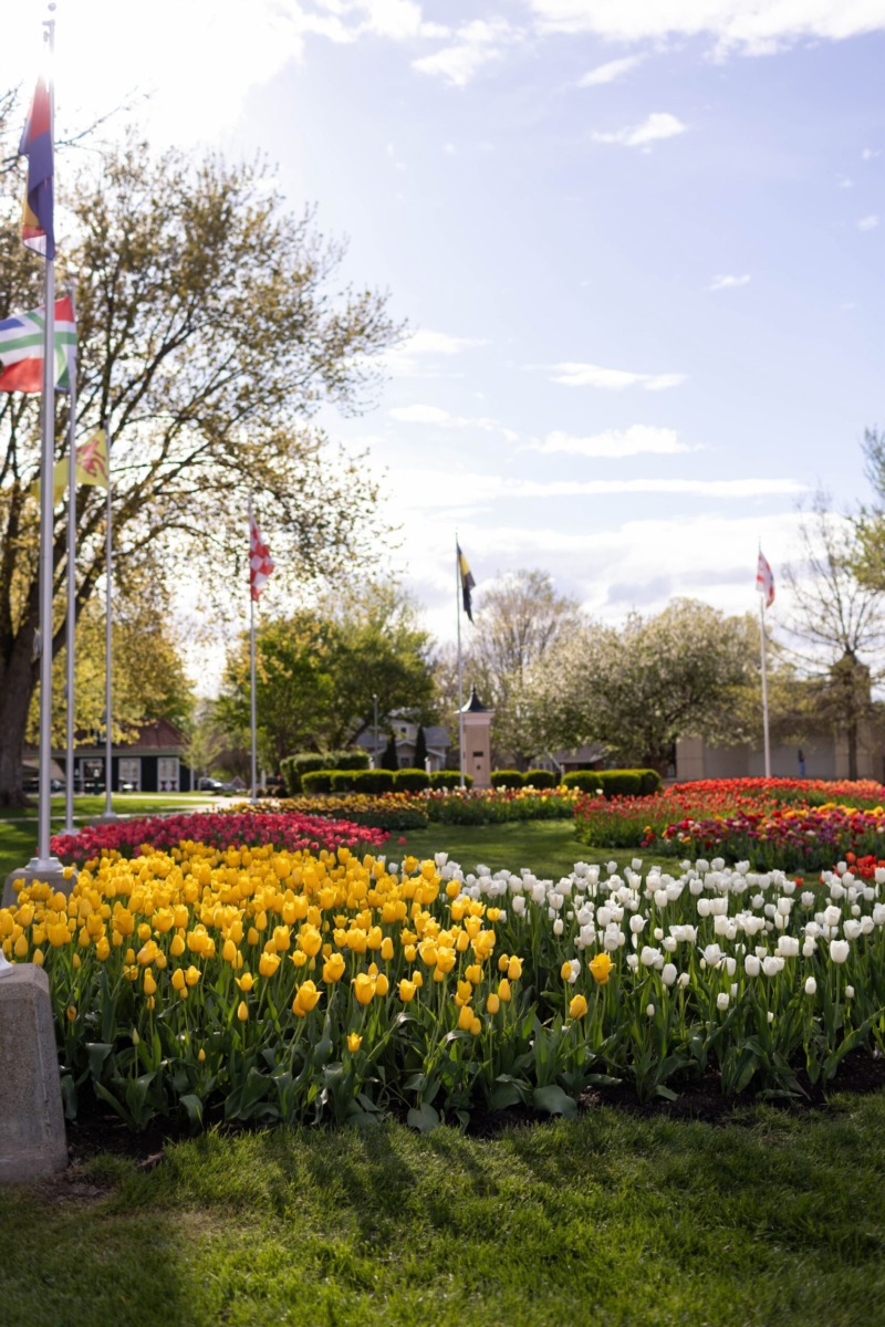 Iowa in bloom: 10 flower festivals to attend in 2025