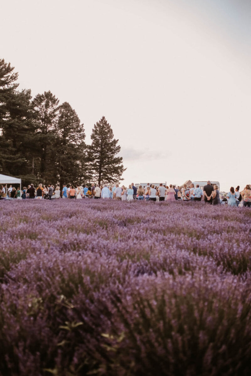 Iowa in bloom: 10 flower festivals to attend in 2025