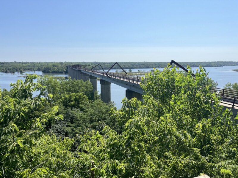 Want to see wildflowers in Iowa? Head to these 8 trails