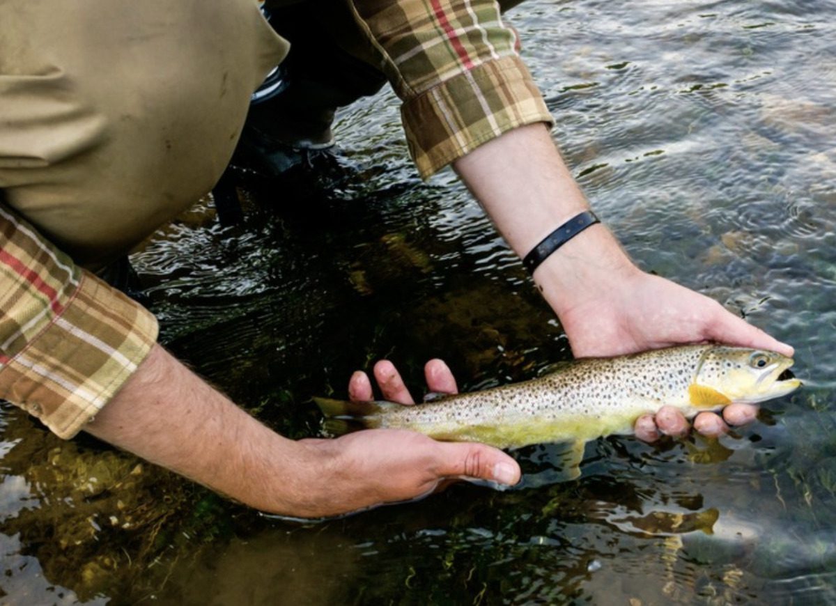 Anglers holding fish 