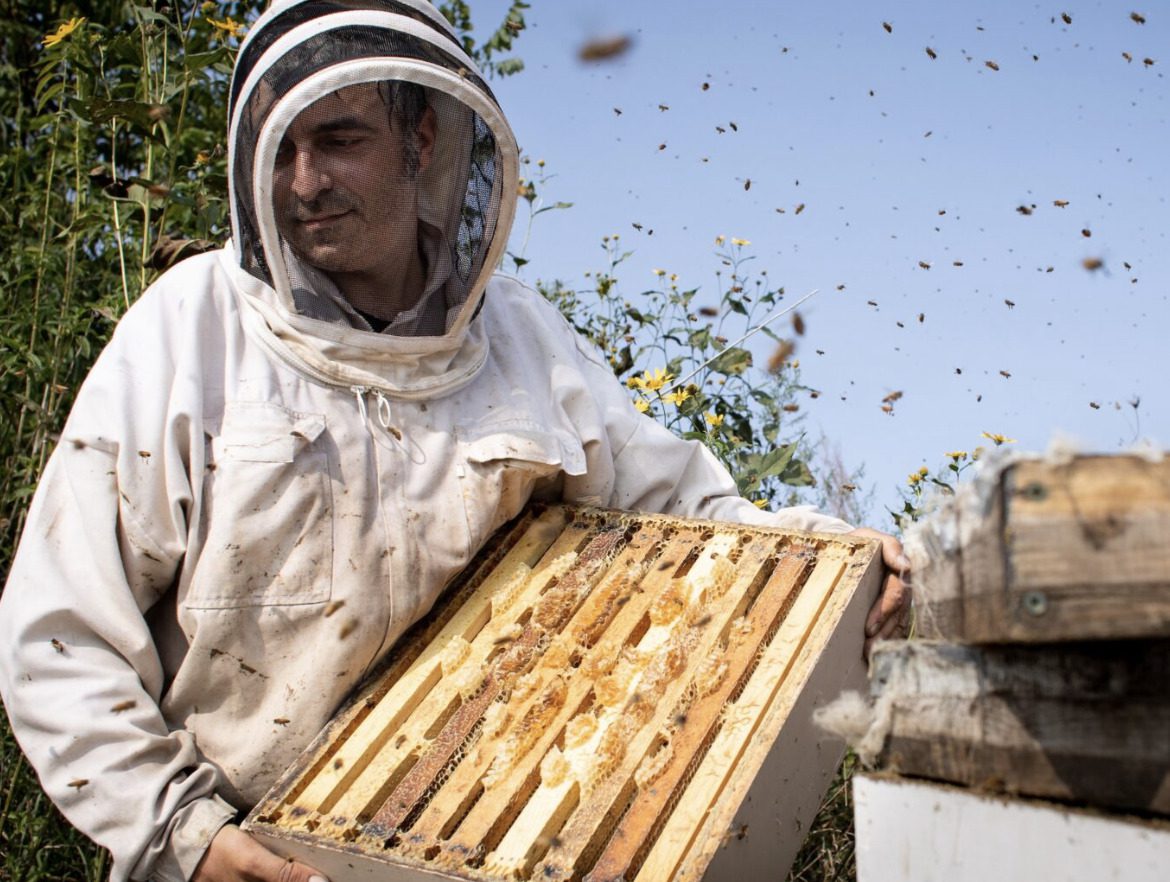 beekeeper holding beehive