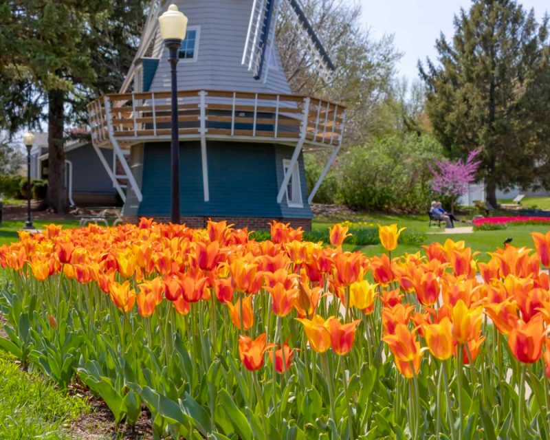 The best festivals in Iowa this spring and summer range from food-centric events to those that support marginalized voices.